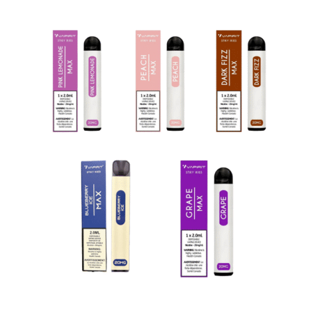 VAPIRIT Disposable Vape